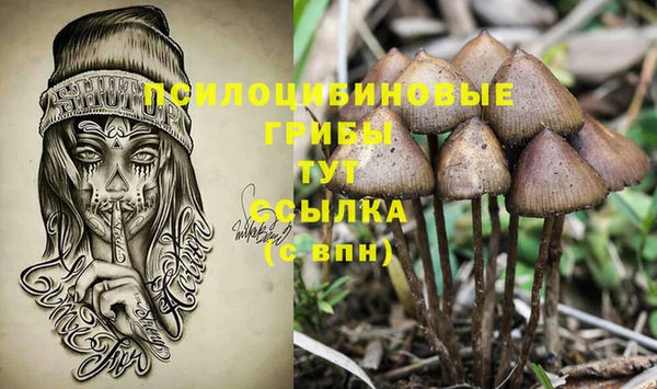 2c-b Бугульма