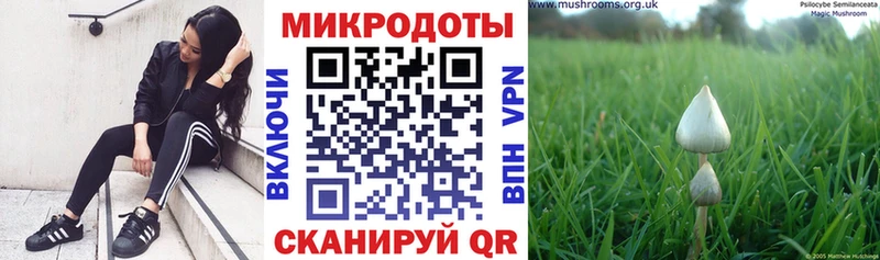 Галлюциногенные грибы мухоморы  Верхний Уфалей 